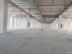 【園區直招】蘇通園區全新廠房，面積1150平，單層獨棟均有