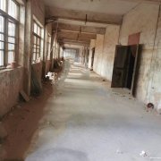 獨門獨院，可分割，有辦公樓，如皋搬經鎮常青中學河南側