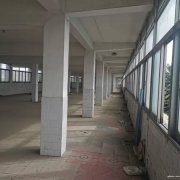 獨門獨院，可分割，有辦公樓，如皋搬經鎮常青中學河南側