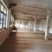 獨門獨院，可分割，有辦公樓，如皋搬經鎮常青中學河南側