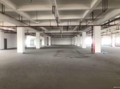 港閘區 辦公 倉庫 廠房 招租 可整租 可分割 有食堂超市