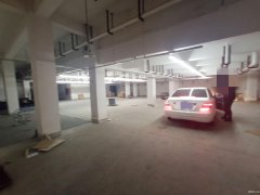 便宜地下倉庫出租，南通植物園南側，交通方便，有獨立大門CC