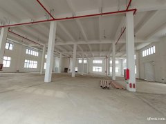 全新獨(dú)棟廠房，每棟3500平，共4棟，層高8米，5噸貨梯