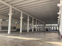 房東直租 濱海工業區4000平廠房 交通便利