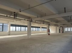 主城核心獨(dú)棟 雙拼 三拼 兩層 三層 三層半 單層廠房出售